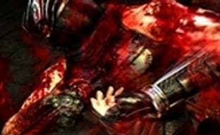 Ninja Gaiden 3: кровь на руках