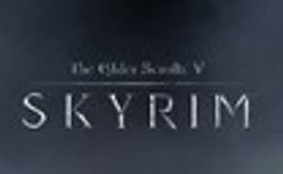 Дневники разработчиков Skyrim