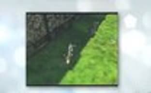 ICO - ранняя версия