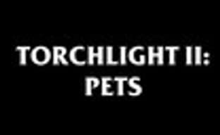 Трейлер Torchlight II