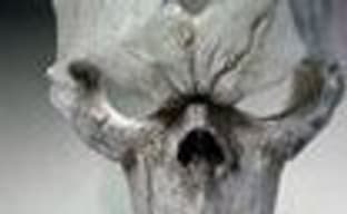 Анонс Darksiders II Collector's Edition 