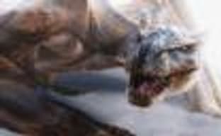 Paul W.S. Anderson планирует снять фильм по игре Monster Hunter