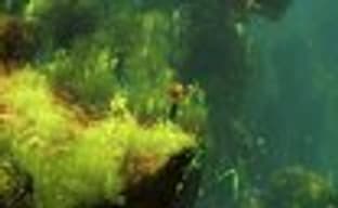 Max: The Curse of Brotherhood задержится до 2014 года из-за версии для Xbox One