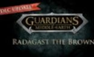 Guardians of Middle-Earth - Radagast the Brown