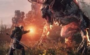 The Witcher 3: Wild Hunt - магические знаки, сравнение с Dark Souls