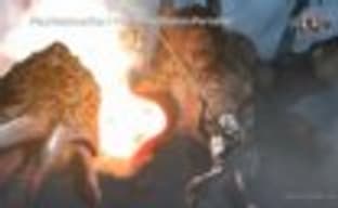 Трейлер Toukiden