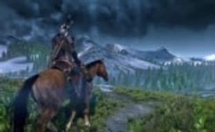 The Witcher 3: Wild Hunt с поддержкой PhysX и DX11