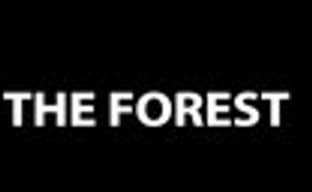 Ужастик The Forest: геймплей и поддержка Oculus Rift