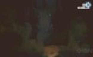 Gamescom-демонстрация Below