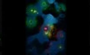 BOID - indie-RTS от авторов No Time To Explain