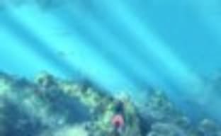 Depth Hunter 2: Deep Dive в Steam