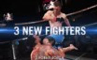 Бесплатное дополнение для EA Sports UFC