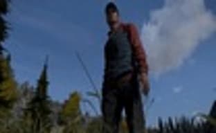 Продано более 800 тыс. копий DayZ