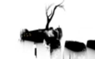 Слух: The Unfinished Swan выйдет на PS4 и PS Vita