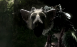 Sony о The Last Guardian: игра по-прежнему в разработке