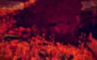 Геймплейный трейлер No Man's Sky