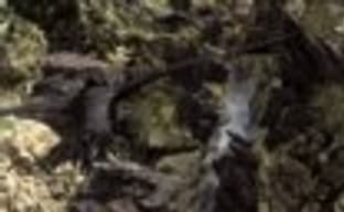 Трейлер Kingdom Under Fire II для PS4