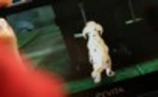 PlayStation Vita Pets в продаже