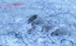 Видеодневники Hearts of Iron IV - танки