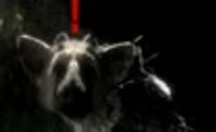 Sony о The Last Guardian: разработка движется очень хорошо