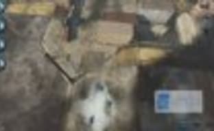 Демонстрация отмененной Gears of War: Tactics 