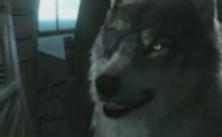 Новый персонаж Metal Gear Solid V: The Phantom Pain - DD