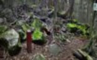 Euclideon представила технологию Solidscan и движок Unlimited Detail