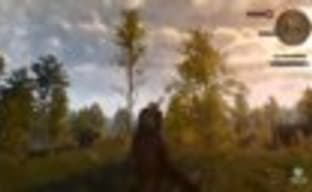 The Witcher 3: Wild Hunt - квест Precious Cargo