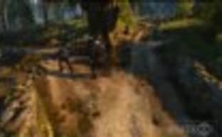 The Witcher 3: Wild Hunt - сражения с людьми