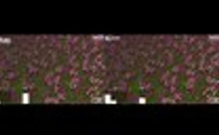 Видео, демонстрирующее превосходство Vulkan над OpenGL