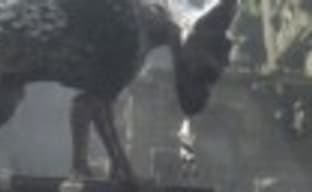 Sony не продлила права на торговую марку The Last Guardian