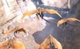 Gamescom-трейлер The Technomancer