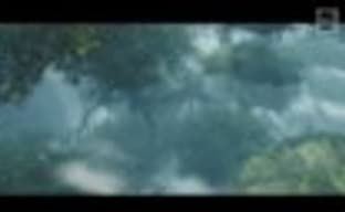 Дополнение Guild Wars 2: Heart of Thorns