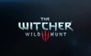 Почти 15 минут нового геймплея The Witcher 3: Wild Hunt