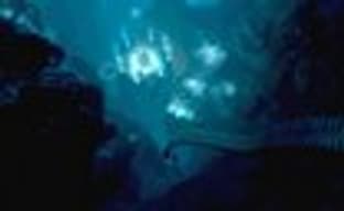 Создатели Metro трудились над подводным шутером Deep 6 