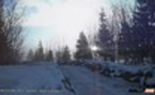 Sebastien Loeb Rally Evo отложили на следующий год