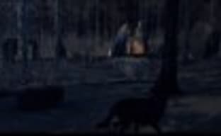 Дополнение «Культура длиннобородых» для Total War: Attila