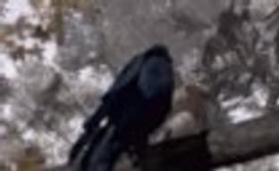 Финальная версия Legends of Eisenwald выйдет 2 июля