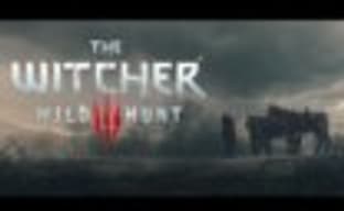 Полчаса The Witcher 3: Wild Hunt