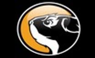 Streamline Studios помогала Capcom в разработке Street Fighter V