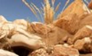 Golem для PlayStation VR показали в большом ролике