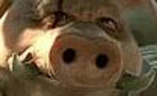 Ubisoft: Beyond Good and Evil 2 превзойдет оригинал во всем