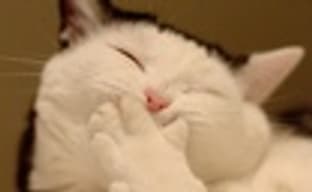 Петиция в адрес ActiBlizz 