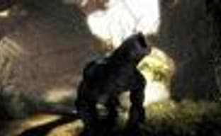 Risen от Piranha Bytes в 2009 году на РС и Xbox 360