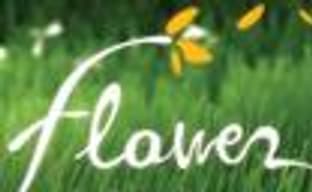 Flower для PSN - новый жанр