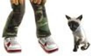 Аватары Xbox Live обзаведутся питомцами