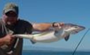 Слух: Disney купит издательство EA?