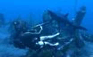 Новые скриншоты (Tomb Raider: Underworld, The Conduit и Tales of Vesperia)