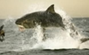 EA vs. Take-Two. Чем закончится схватка?