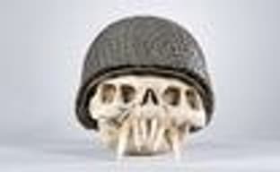 Череп пришельца из Resistance за $2,5 тыс.